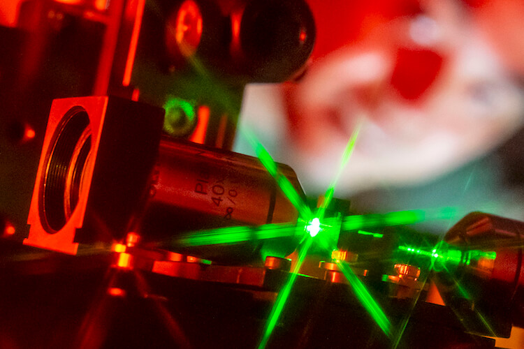 2D Materials Grow Directly on Optical Fibres